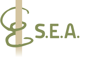 Sebastian Eilert Architecture